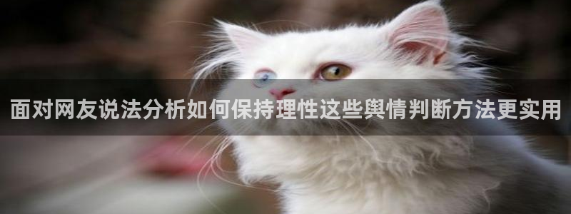 51吃瓜热点搜索