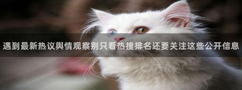 吃瓜爆料资讯