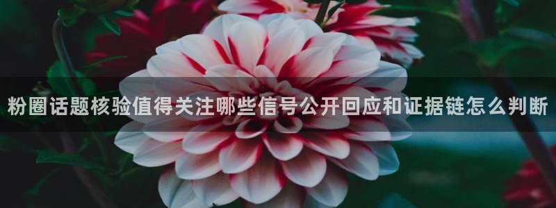 51吃瓜网络新闻